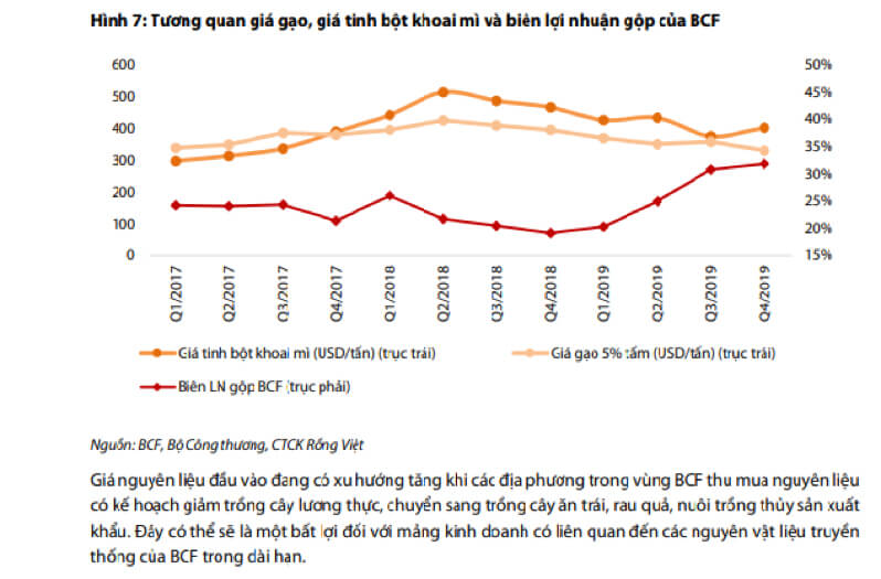 bcpt bcf 1 (1)